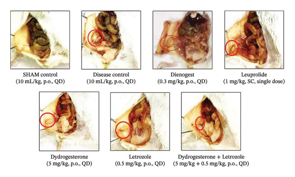 Figure 13