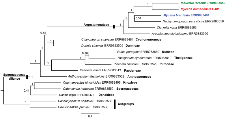 Figure 5