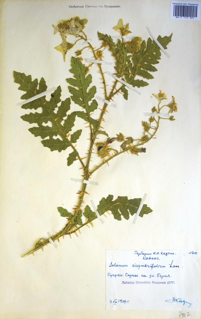 Figure 11