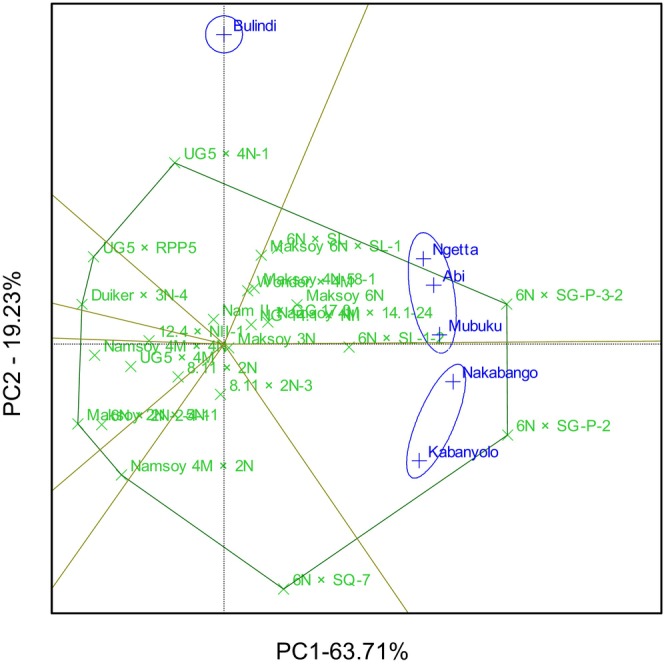Figure 4