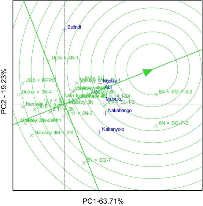 Figure 5
