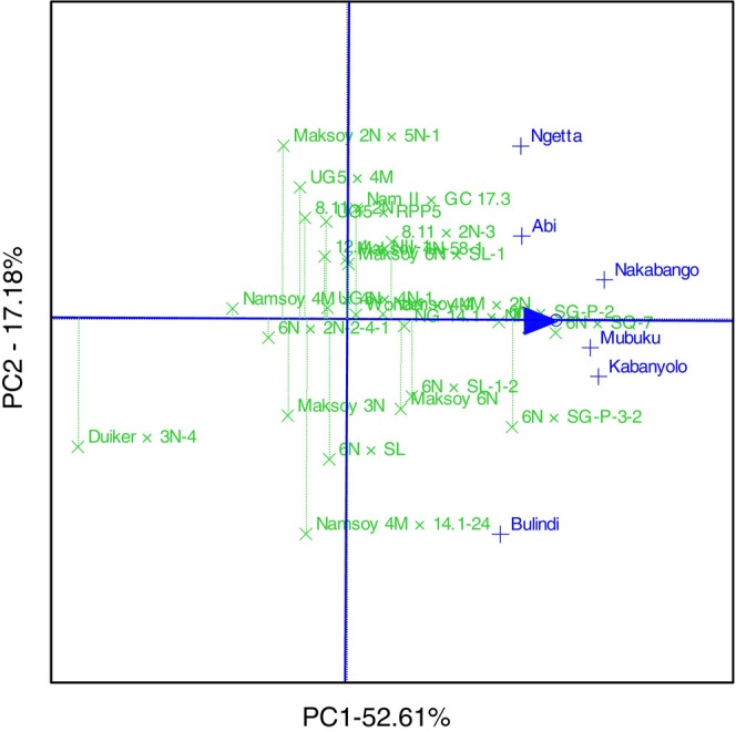 Figure 6