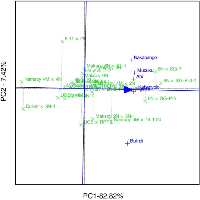 Figure 7