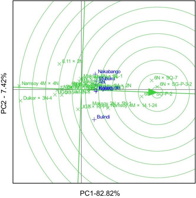 Figure 9