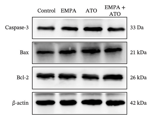 Figure 14