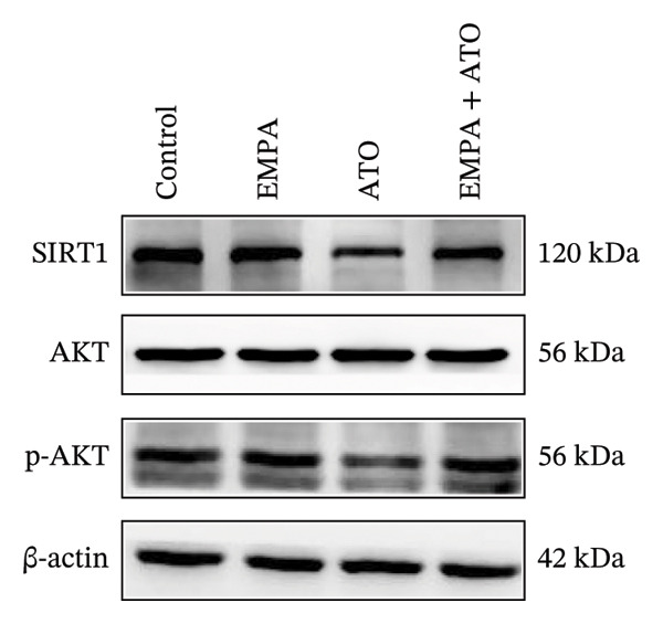 Figure 18