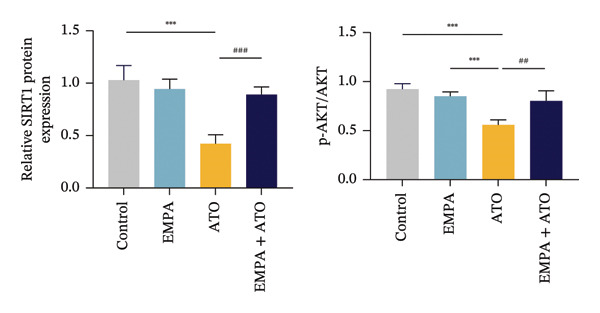 Figure 19