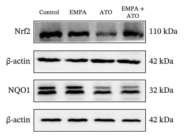 Figure 20