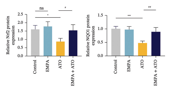 Figure 21