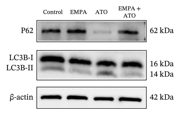 Figure 22