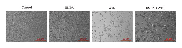 Figure 27