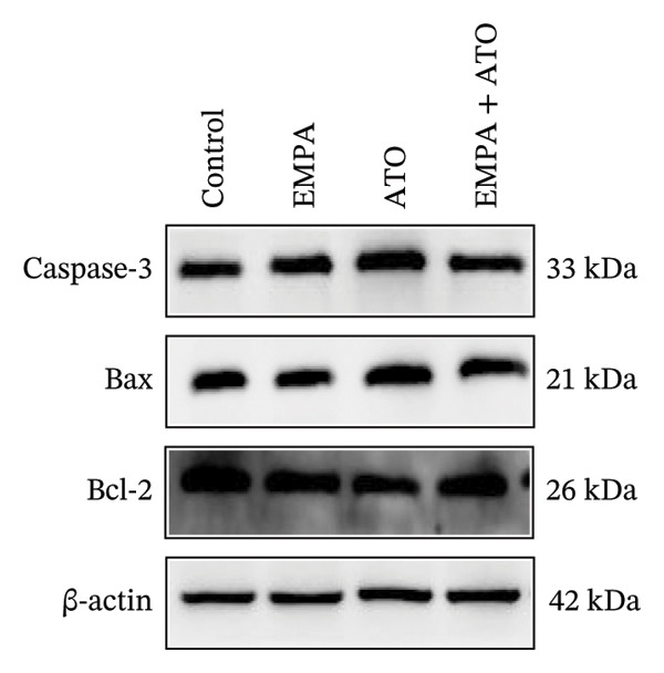 Figure 34