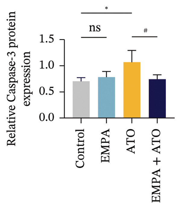 Figure 35
