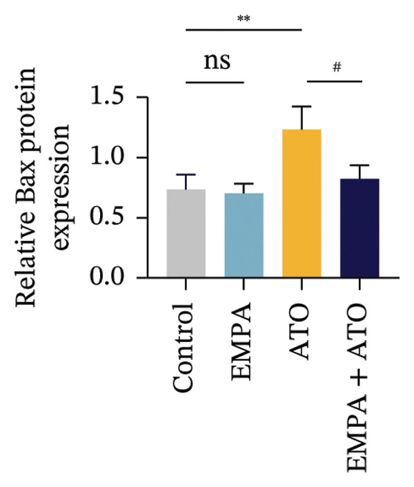 Figure 36