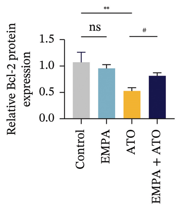 Figure 37