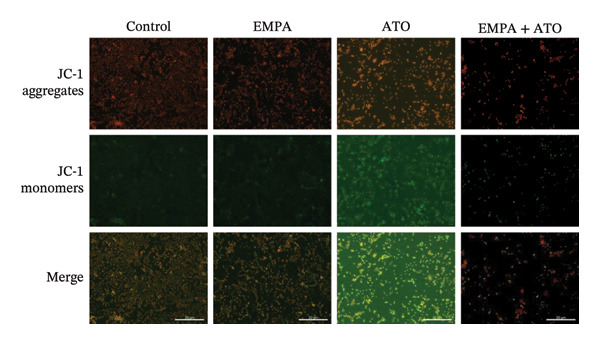 Figure 38