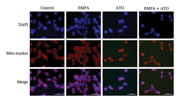 Figure 40