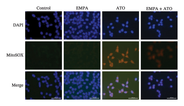 Figure 42