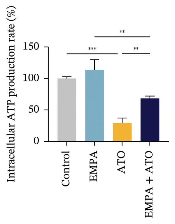 Figure 44
