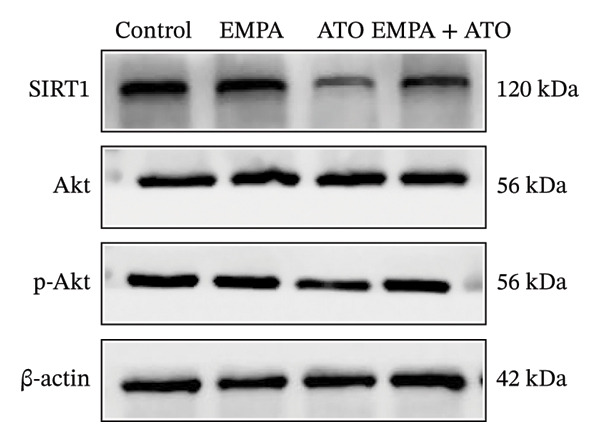 Figure 45