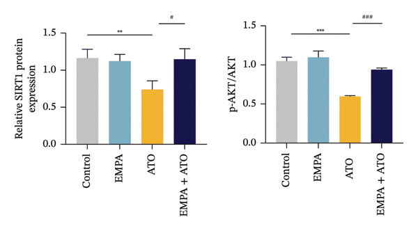 Figure 46