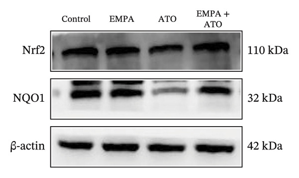 Figure 47