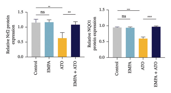 Figure 48