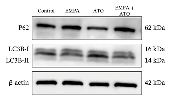 Figure 49