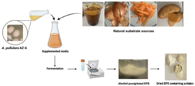 Figure 18