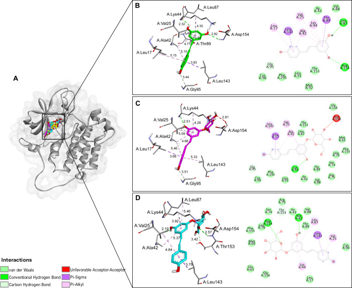 Figure 11