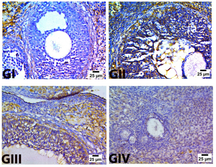 Figure 12