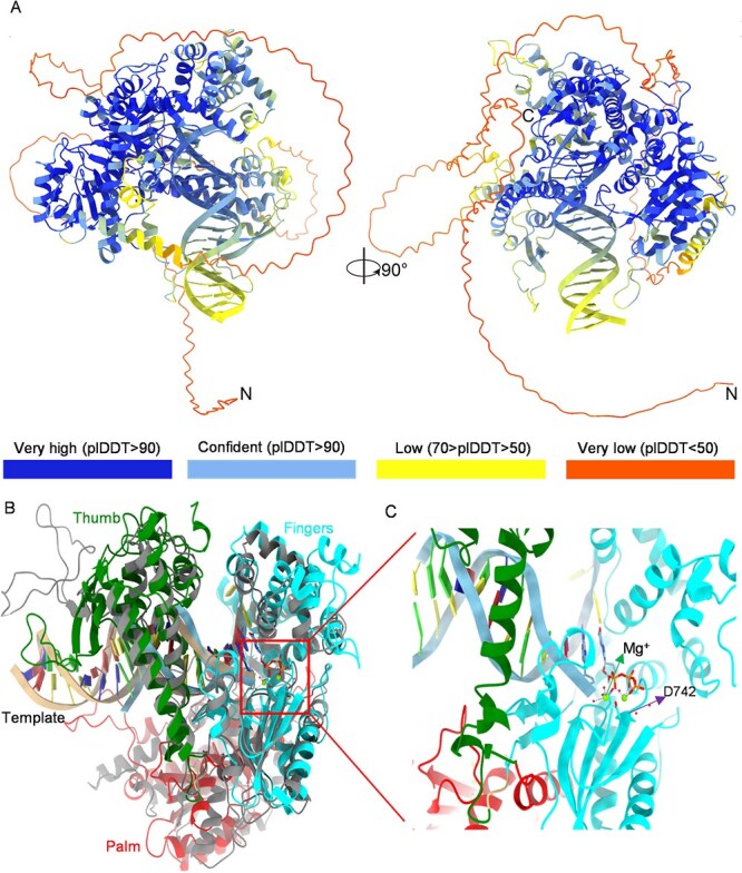 Figure 4