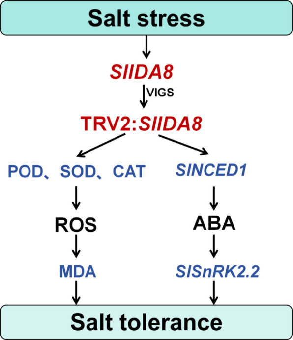 Figure 9