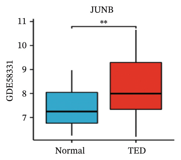 Figure 19
