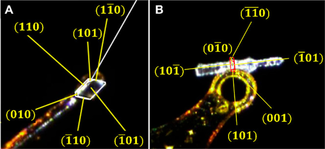 Figure 5