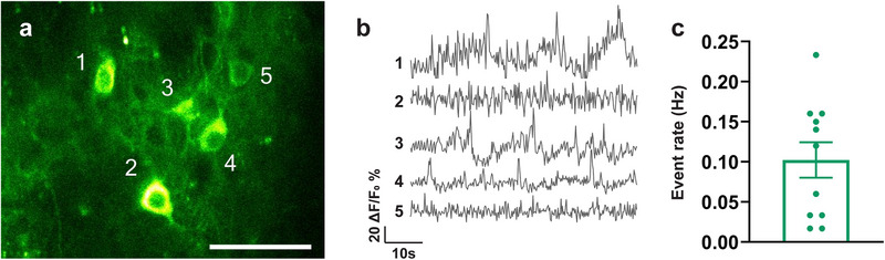 Figure 5
