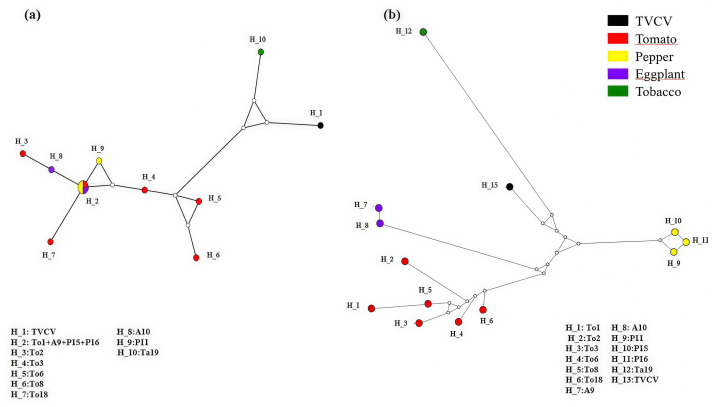 Figure 3