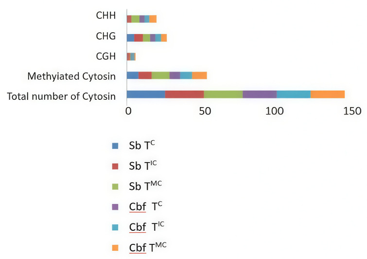 Figure 6