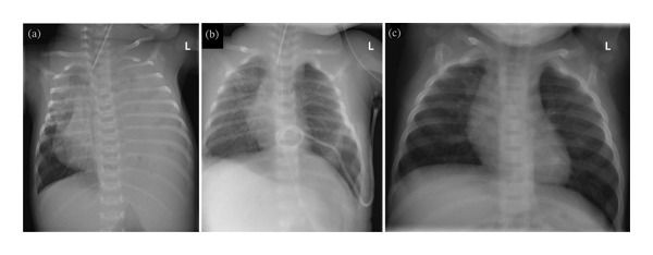 FIGURE 2