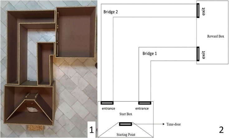 Fig 1