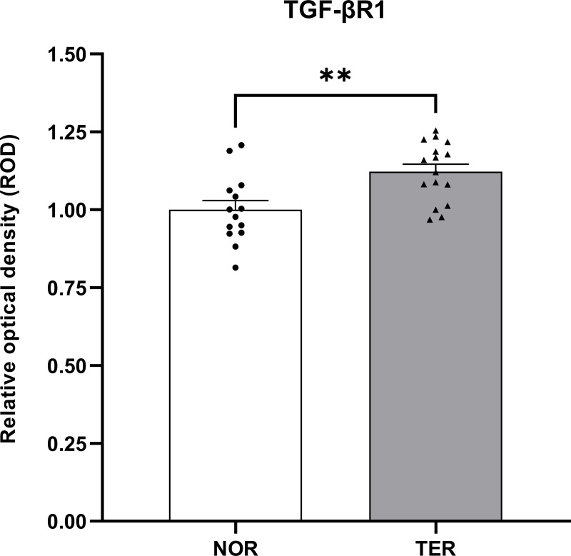 Fig 7
