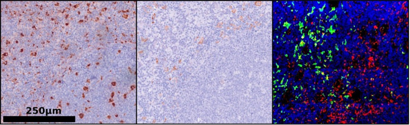 Fig 5