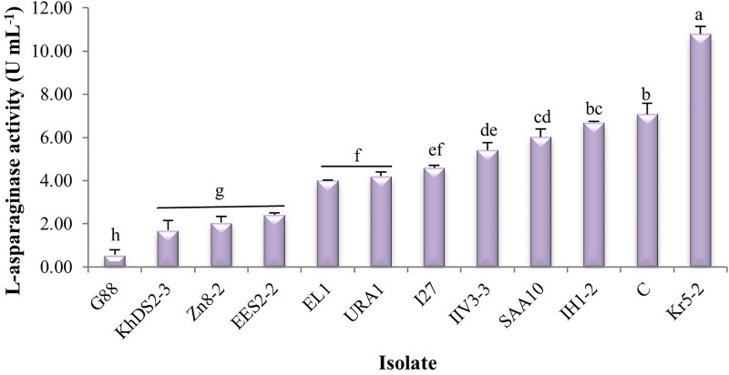 Fig 5