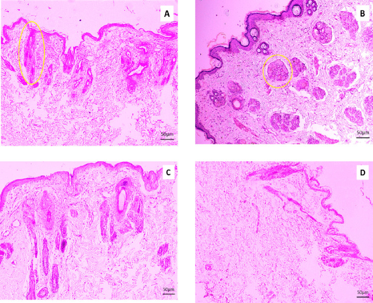 Fig 4