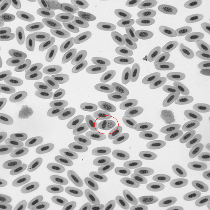 Fig 1