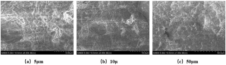 Fig 10