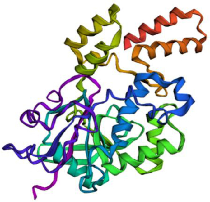 Fig 1