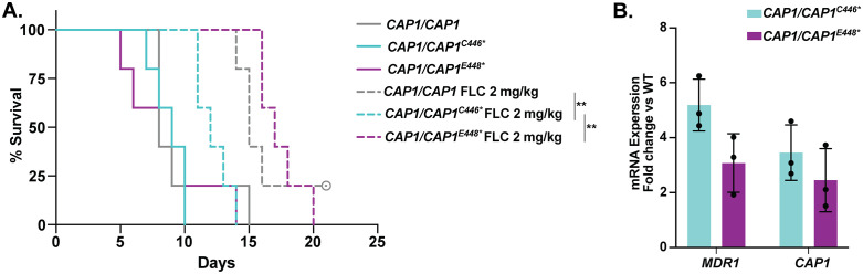 Fig 7