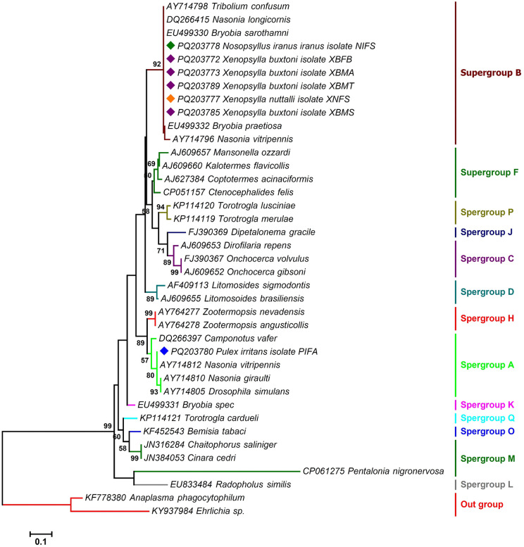 Fig 6