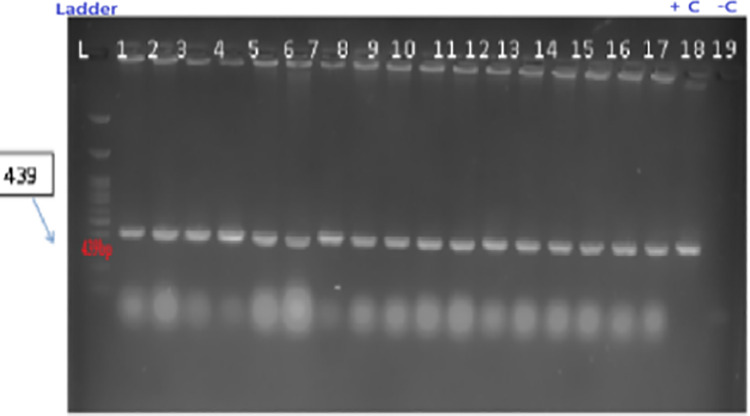 Fig 7